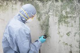 South Lancaster, MA Mold Remediation Company